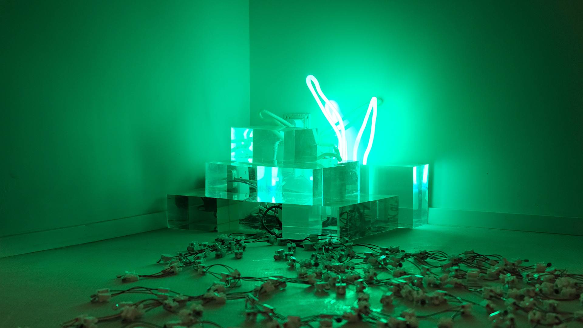 “Semi-being” Solo Exhibition, 2024